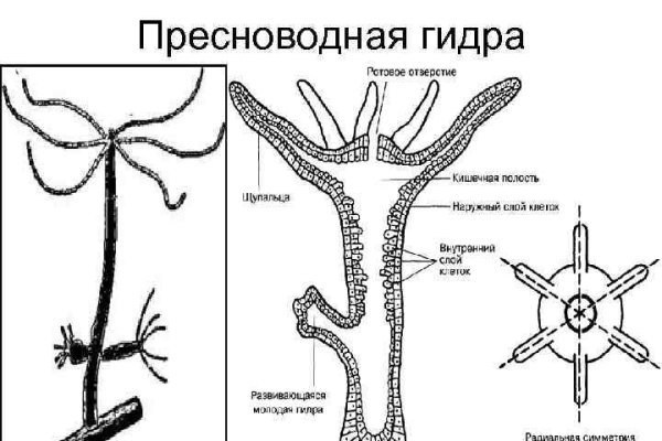 Как зарегаться в кракен